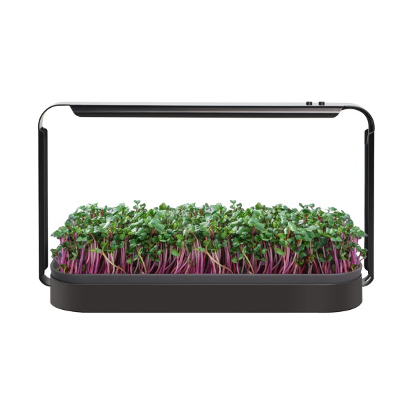 Microgreens growing system