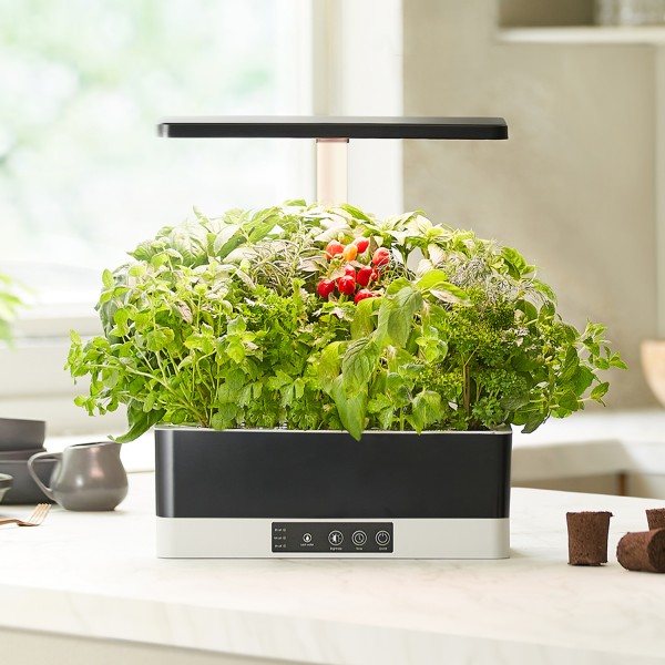 Hidroponikos sistema „Smart Garden“