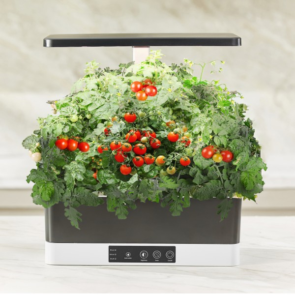 Hydroponic system "Smart Garden"