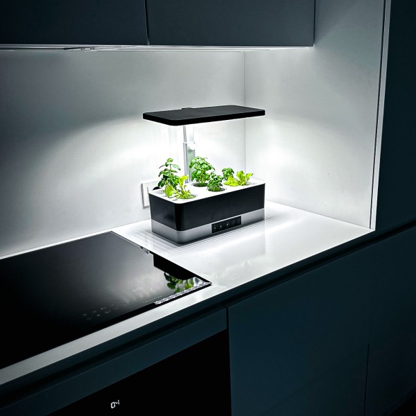 Hydroponic system "Smart Garden"