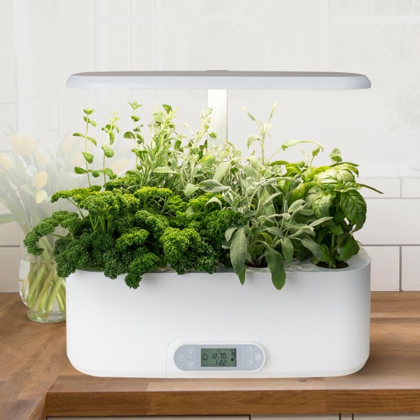 Hydroponic system "Smart Grow"